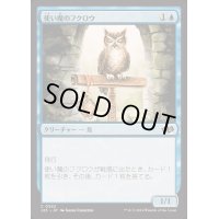 使い魔のフクロウ/Owl Familiar《日本語》【J25】