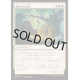 (FOIL)剥き出しの爪/Claws Out《日本語》【FDN】