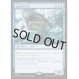 大食の巨大鮫/Voracious Greatshark《日本語》【J25】