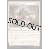 [EX+](FOIL)案内役のアルマサウルス/Armasaur Guide《日本語》【FDN】