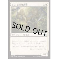 アジャニの群れ仲間/Ajani's Pridemate《日本語》【J25】