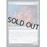 有刺カサゴ/Stinging Lionfish《日本語》【J25】