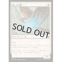 癒し手の鷹/Healer's Hawk《日本語》【FDN】