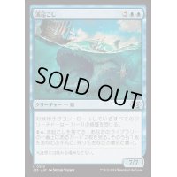 [EX+]波起こし/Waker of Waves《日本語》【J25】