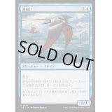 潮掬い/Tide Skimmer《日本語》【J25】