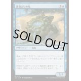 潮溜まりの亀/Tidepool Turtle《日本語》【J25】