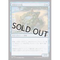 潮溜まりの亀/Tidepool Turtle《日本語》【J25】