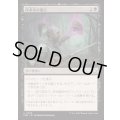 (FOIL)探求者の愚行/Seeker's Folly《日本語》【FDN】