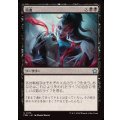 (FOIL)瀉血/Exsanguinate《日本語》【FDN】