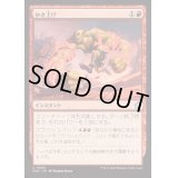 [EX+]かさ上げ/Bulk Up《日本語》【FDN】