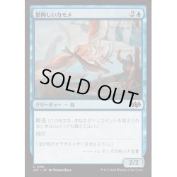 画像1: [EX+]鬱陶しいカモメ/Vexing Gull《日本語》【J25】
