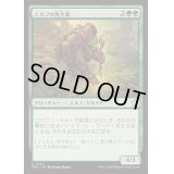 (FOIL)エルフの再生家/Elvish Regrower《日本語》【FDN】