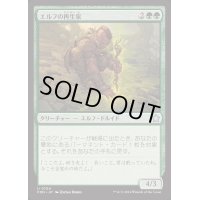 (FOIL)エルフの再生家/Elvish Regrower《日本語》【FDN】