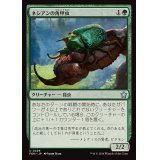 (FOIL)ネシアンの角甲虫/Nessian Hornbeetle《日本語》【FDN】