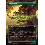 (FOIL)(フルアート)再利用の賢者/Reclamation Sage《日本語》【FDN】