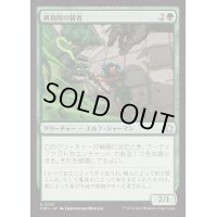 [EX+](FOIL)再利用の賢者/Reclamation Sage《日本語》【FDN】