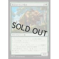 (FOIL)熱心なトリュフ嗅ぎ/Eager Trufflesnout《日本語》【FDN】