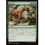 (FOIL)踏み荒らし/Overrun《日本語》【FDN】