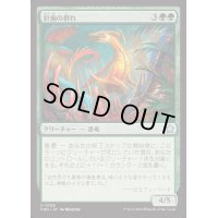 針歯の群れ/Needletooth Pack《日本語》【FDN】