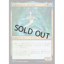 画像1: [EX+]水底のドルイド、タトヨヴァ/Tatyova, Benthic Druid《日本語》【FDN】