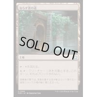 ならず者の道/Rogue's Passage《日本語》【FDN】