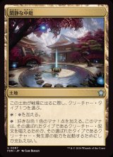閑静な中庭/Secluded Courtyard《日本語》【FDN】
