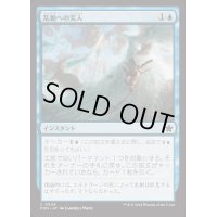 乱動への突入/Into the Roil《日本語》【FDN】
