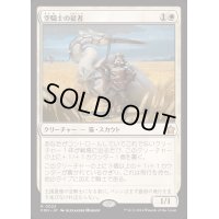 [EX+]空騎士の従者/Skyknight Squire《日本語》【FDN】