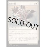 信仰の足枷/Faith's Fetters《日本語》【J25】