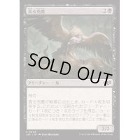 貪る禿鷹/Gorging Vulture《日本語》【J25】