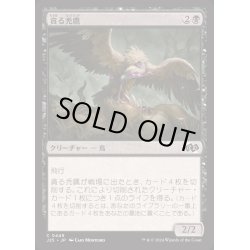 画像1: 貪る禿鷹/Gorging Vulture《日本語》【J25】