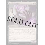 骨まといの屍術師/Boneclad Necromancer《日本語》【J25】