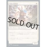 内陸の聖別者/Hinterland Sanctifier《日本語》【J25】