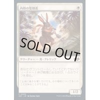 内陸の聖別者/Hinterland Sanctifier《日本語》【J25】