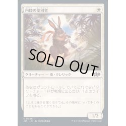 画像1: [EX+]内陸の聖別者/Hinterland Sanctifier《日本語》【J25】