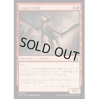 ヘルカイトの仔/Hellkite Whelp《日本語》【J25】