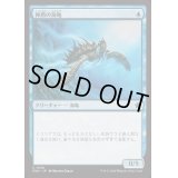 神盾の海亀/Aegis Turtle《日本語》【FDN】