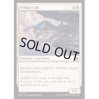 [EX+]フェリダーの仔/Felidar Cub《英語》【FDN】