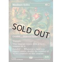 (マナFOIL)苔生まれのハイドラ/Mossborn Hydra《英語》【FDN】