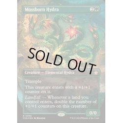 画像1: [EX+](マナFOIL)苔生まれのハイドラ/Mossborn Hydra《英語》【FDN】