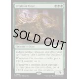 [EX+]捕食者のウーズ/Predator Ooze《英語》【FDN】