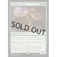 [EX+]捕食者のウーズ/Predator Ooze《英語》【FDN】