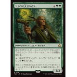 [EX+]エルフの大ドルイド/Elvish Archdruid《日本語》【FDN】