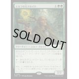 (FOIL)エルフの大ドルイド/Elvish Archdruid《日本語》【FDN】