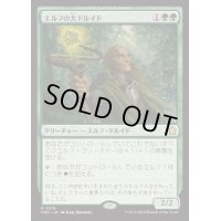 (FOIL)エルフの大ドルイド/Elvish Archdruid《日本語》【FDN】