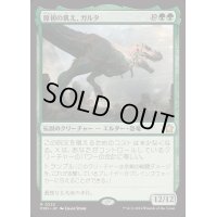 [EX+](FOIL)原初の飢え、ガルタ/Ghalta, Primal Hunger《日本語》【FDN】