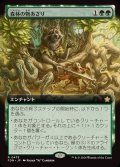 [EX+](FOIL)(フルアート)(0475)森林の物あさり/Sylvan Scavenging《日本語》【FDN】