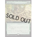 (FOIL)(フルアート)(0475)森林の物あさり/Sylvan Scavenging《日本語》【FDN】