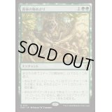 [EX+](FOIL)森林の物あさり/Sylvan Scavenging《日本語》【FDN】