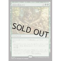 [EX+](FOIL)森林の物あさり/Sylvan Scavenging《日本語》【FDN】
